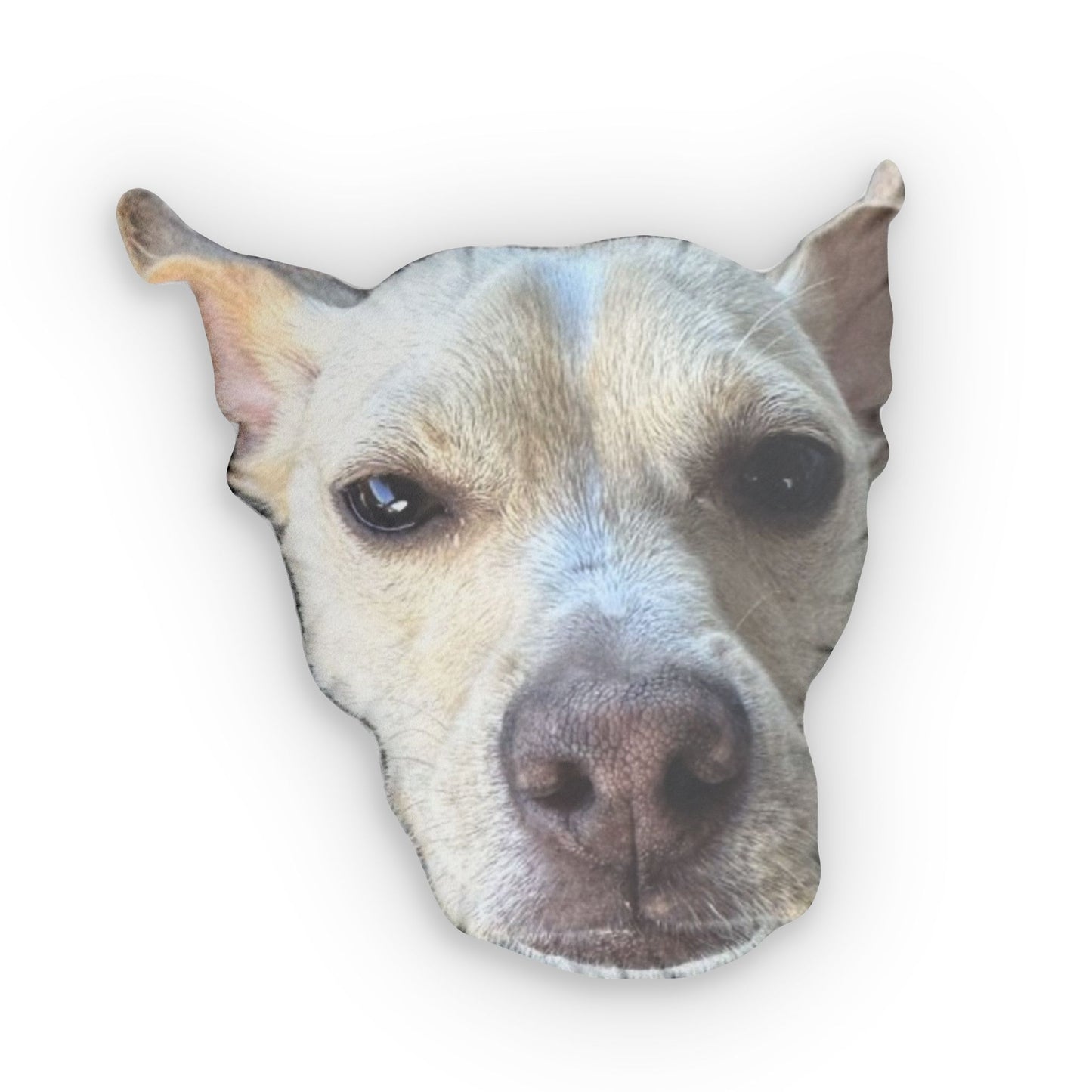 Custom Shaped Pillows