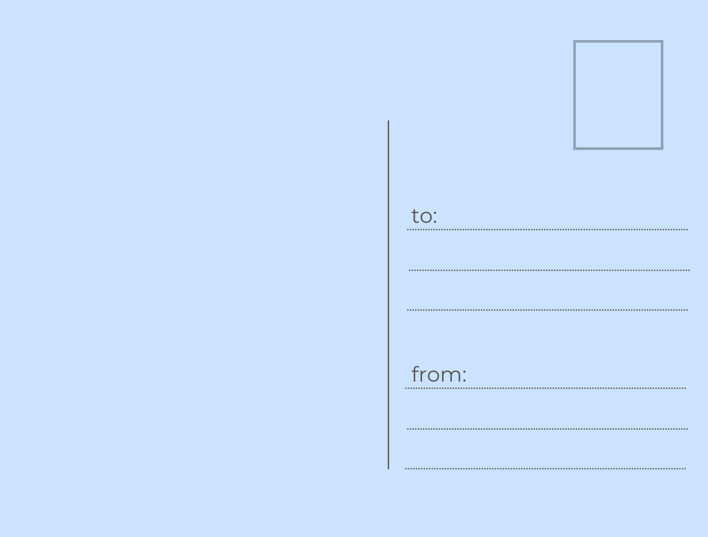 Cute Camp Bear Postcards (pack of 10)