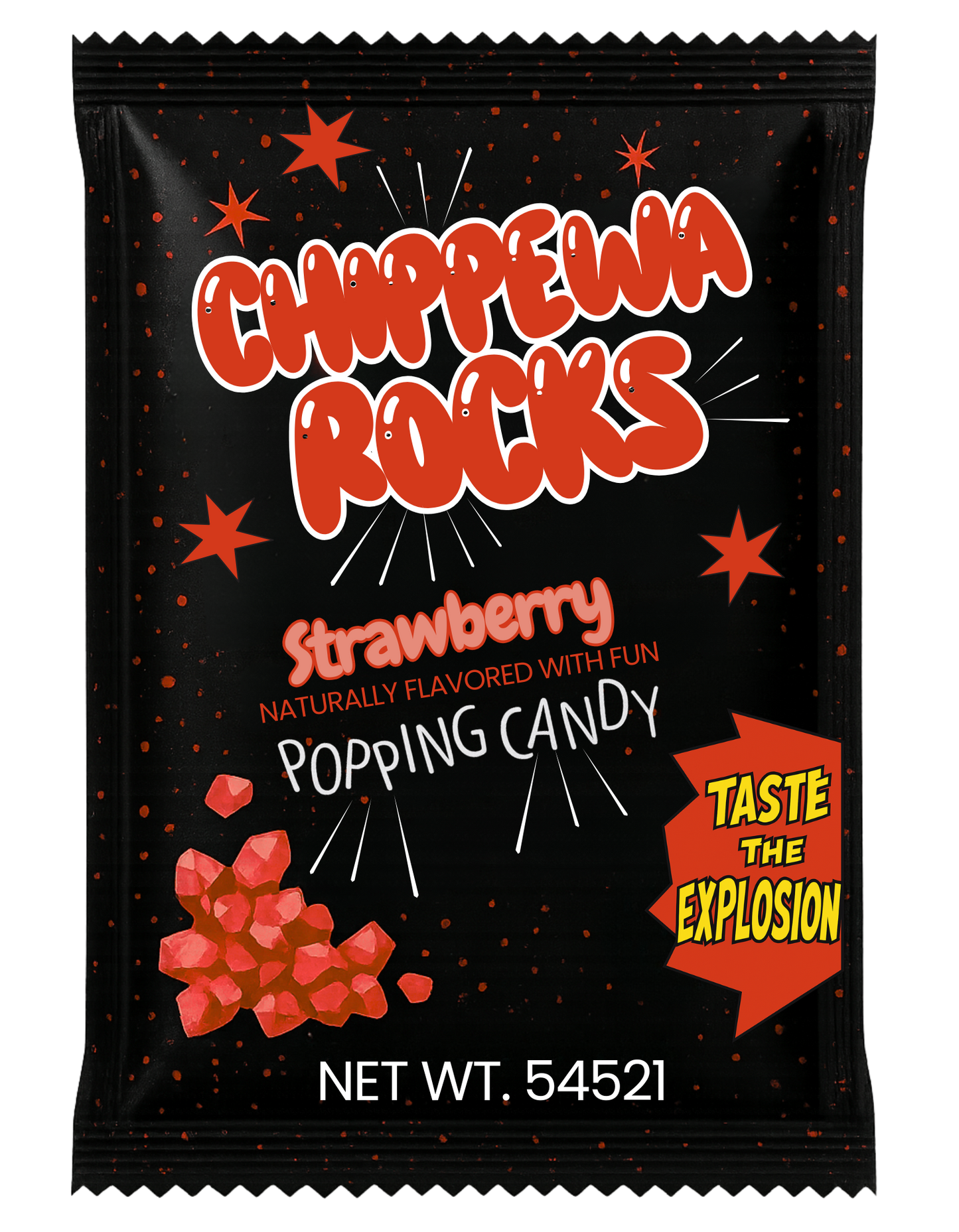 Camp Rocks Zipper Pouch