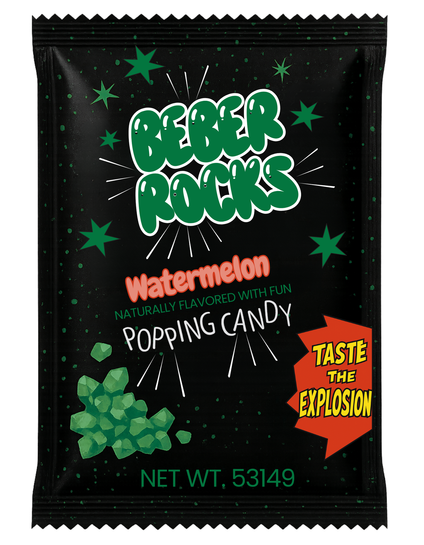 Camp Rocks Zipper Pouch