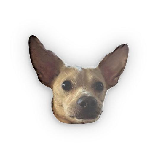Custom Shaped Pillows